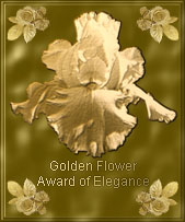 Web Creations Golden Flower Award